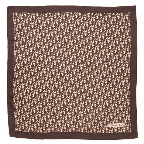 dior scarf brown|christian Dior scarf for women.